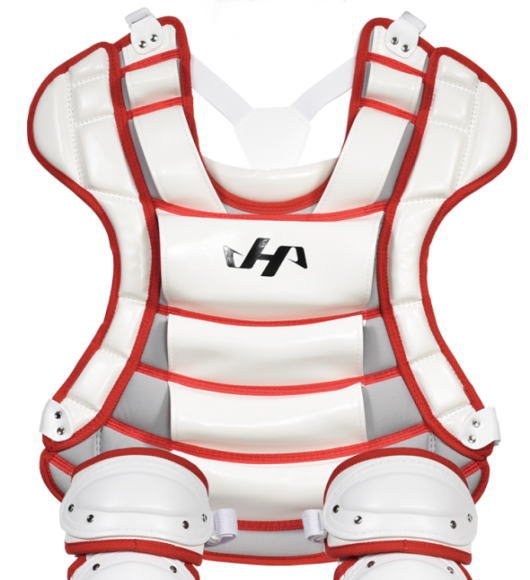 1Zbg n^P} N\tg{[ Lb`[MAZbg zCg~bh wNpTCY