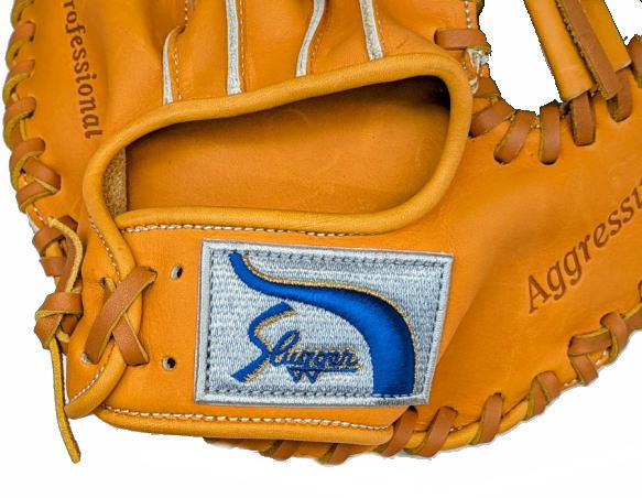 z[NX{R[`l vۓcXbK[ ߂g[jOOu dp