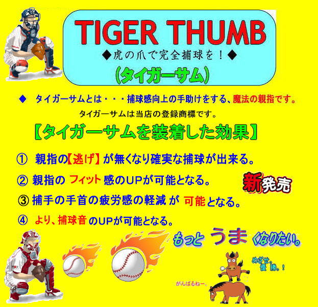 n^P} Lb`[~bg TH-SH19GS WCAc bヂf ubN~S[h